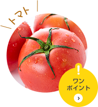トマト ワンポイント