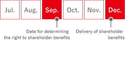 Shareholder benefit schedule