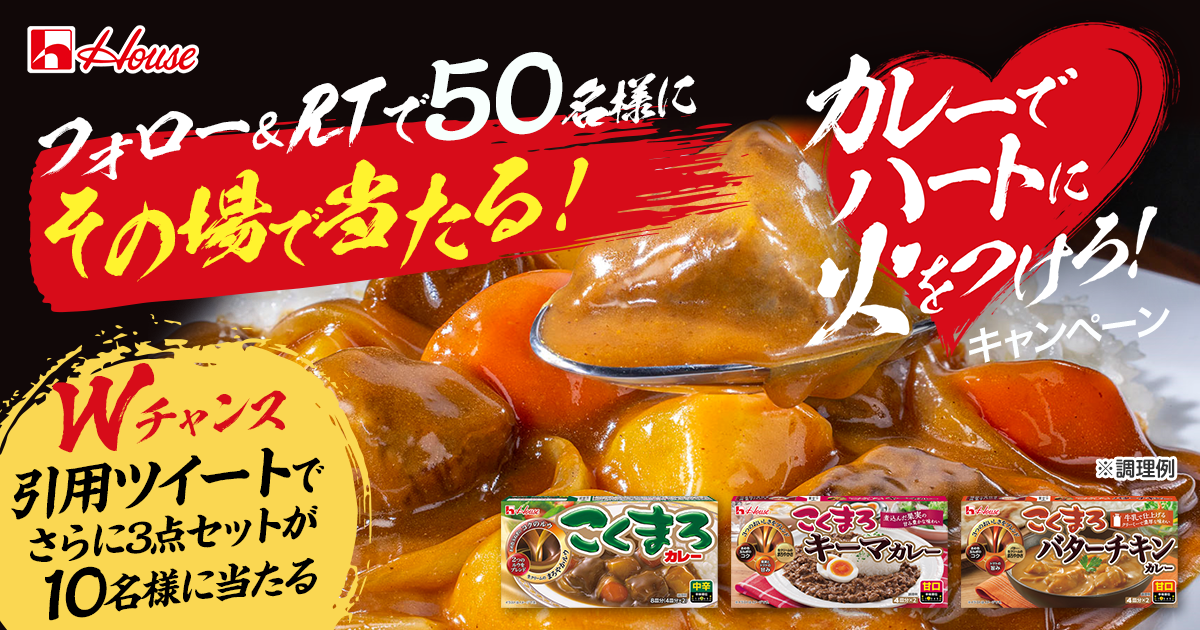 カレーでハートに火をつけろ！キャンペーン規約ページ｜ハウス食品