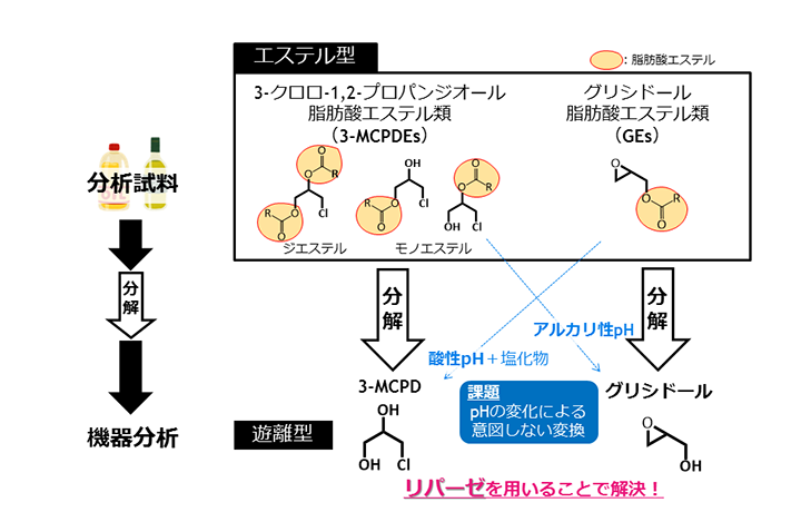 油脂中の新規リスク物質3-MCPDEs及びGEsの分析法開発
