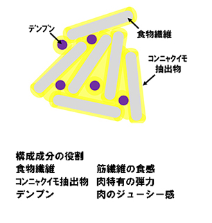 図2：『低たんぱくミート（肉様食品）』の構造と構成成分の役割