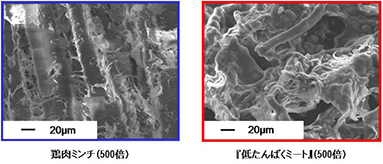 図3：鶏肉ミンチと『低たんぱくミート（肉様食品）冷凍タイプ』の電子顕微鏡写真
