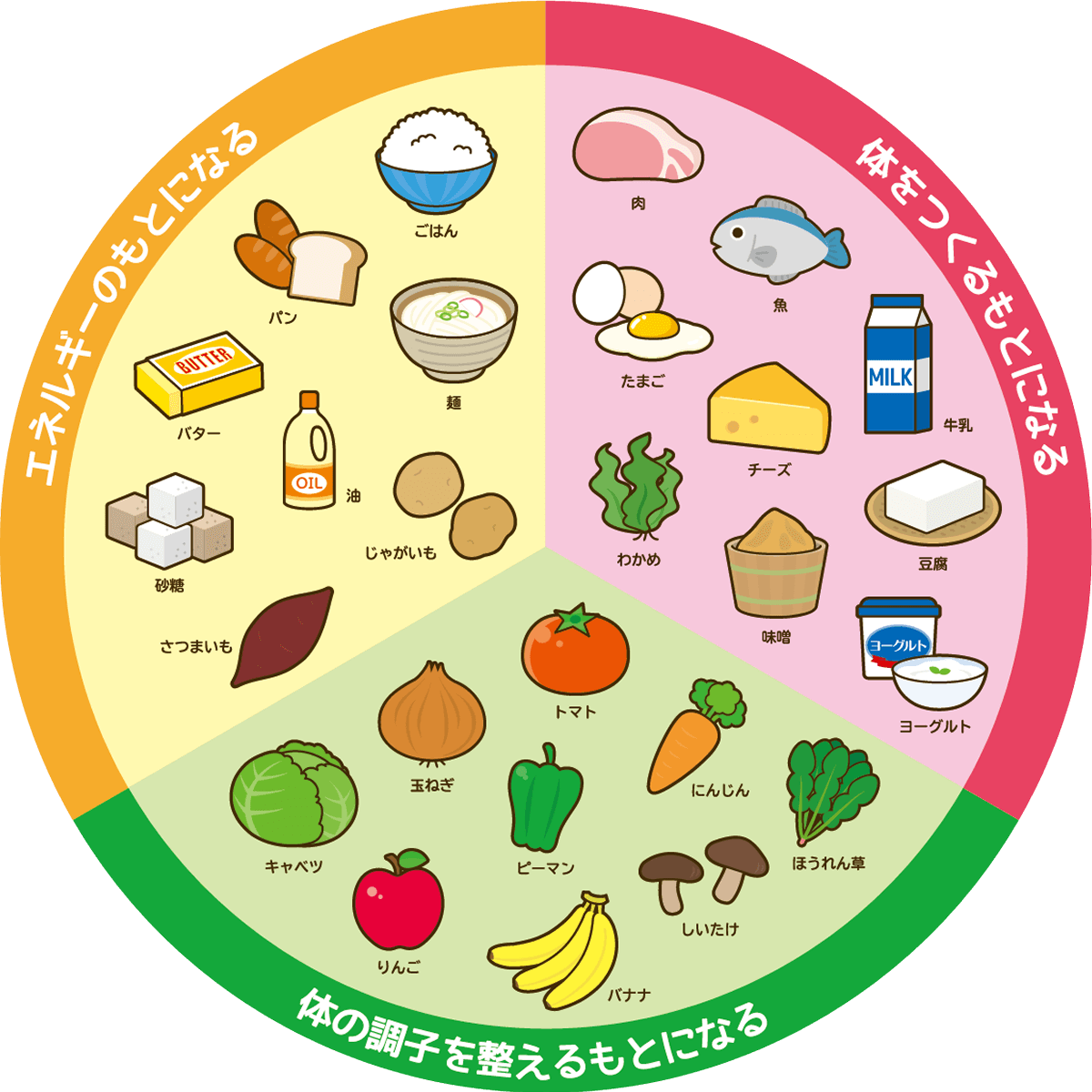 三色食品群　赤＝体をつくるもとになる　黄＝エネルギーのもとになる　緑=体の調子を整えるもとになる