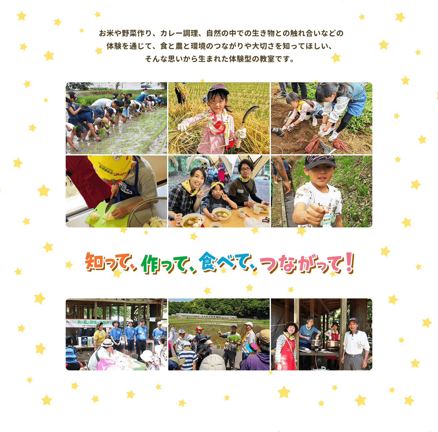 お米や野菜作り、カレー調理、自然の中での生き物との触れ合いなどの体験を通じて、食と農と環境のつながりや大切さを知ってほしい、そんな思いから生まれた体験型の教室です。 知って、作って、食べて、つながって！ 