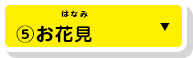 ⑤お花見