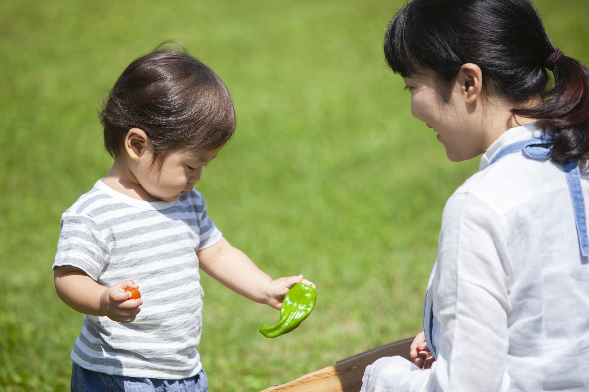 【5】好き嫌いにこだわらないで