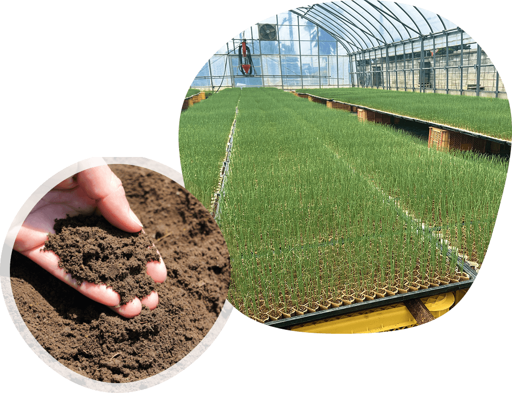 圧倒的な土づくりと徹底した生産管理