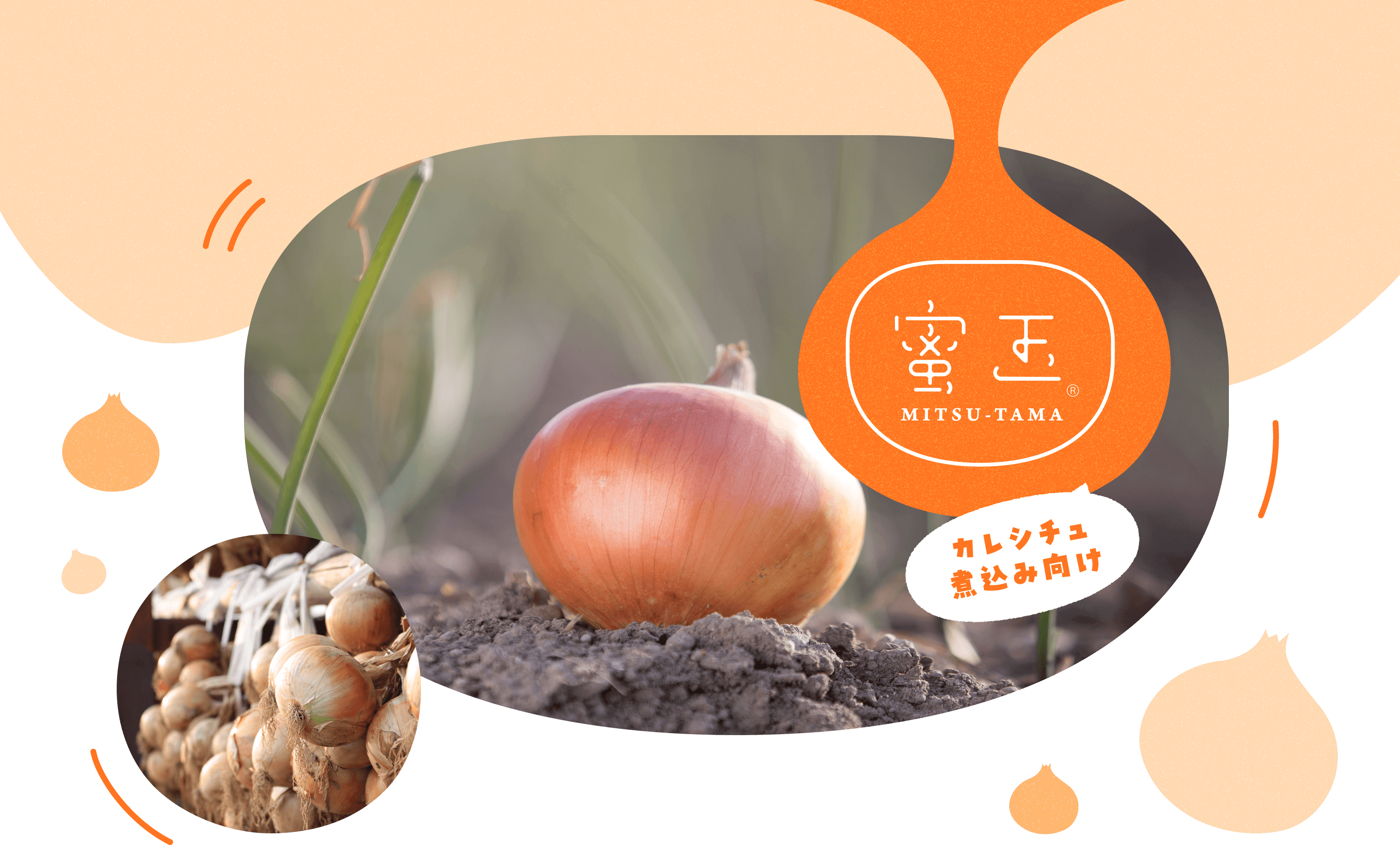 蜜玉©　MITSU-TAMA　カレシチュ煮込み向け