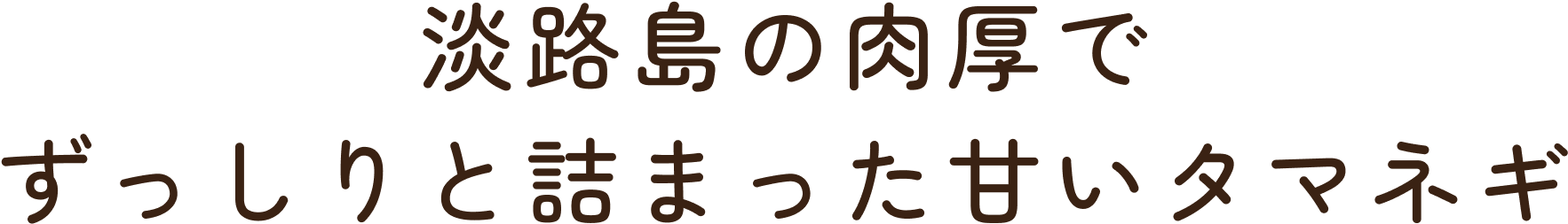 淡路島の肉厚でずっしりと詰まった甘いタマネギ