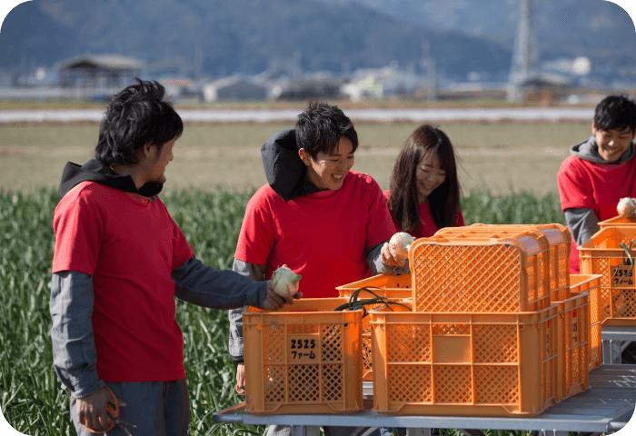生産地風景