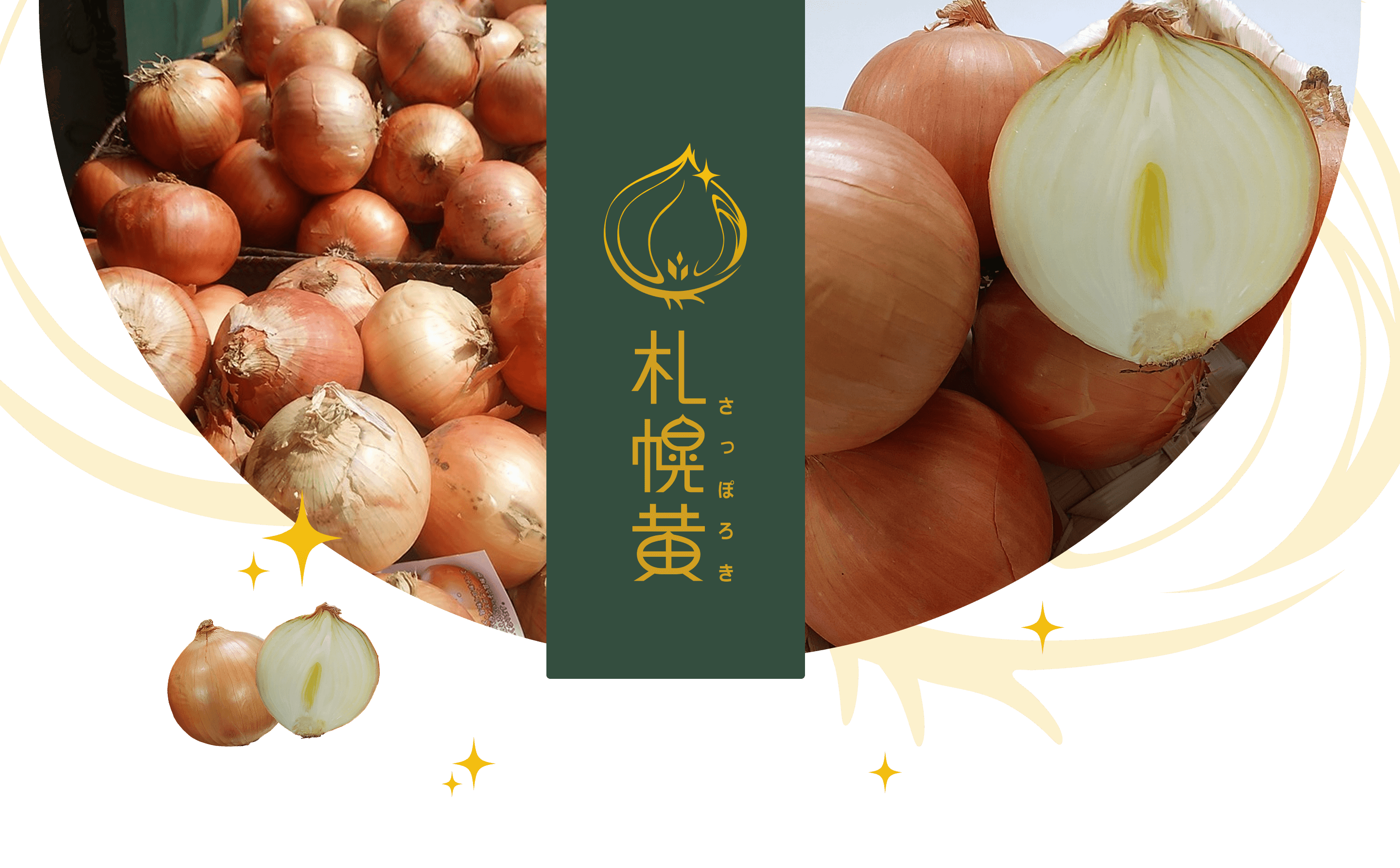 札幌黄　さっぽろき
