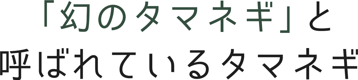 「幻のタマネギ」と呼ばれているタマネギ