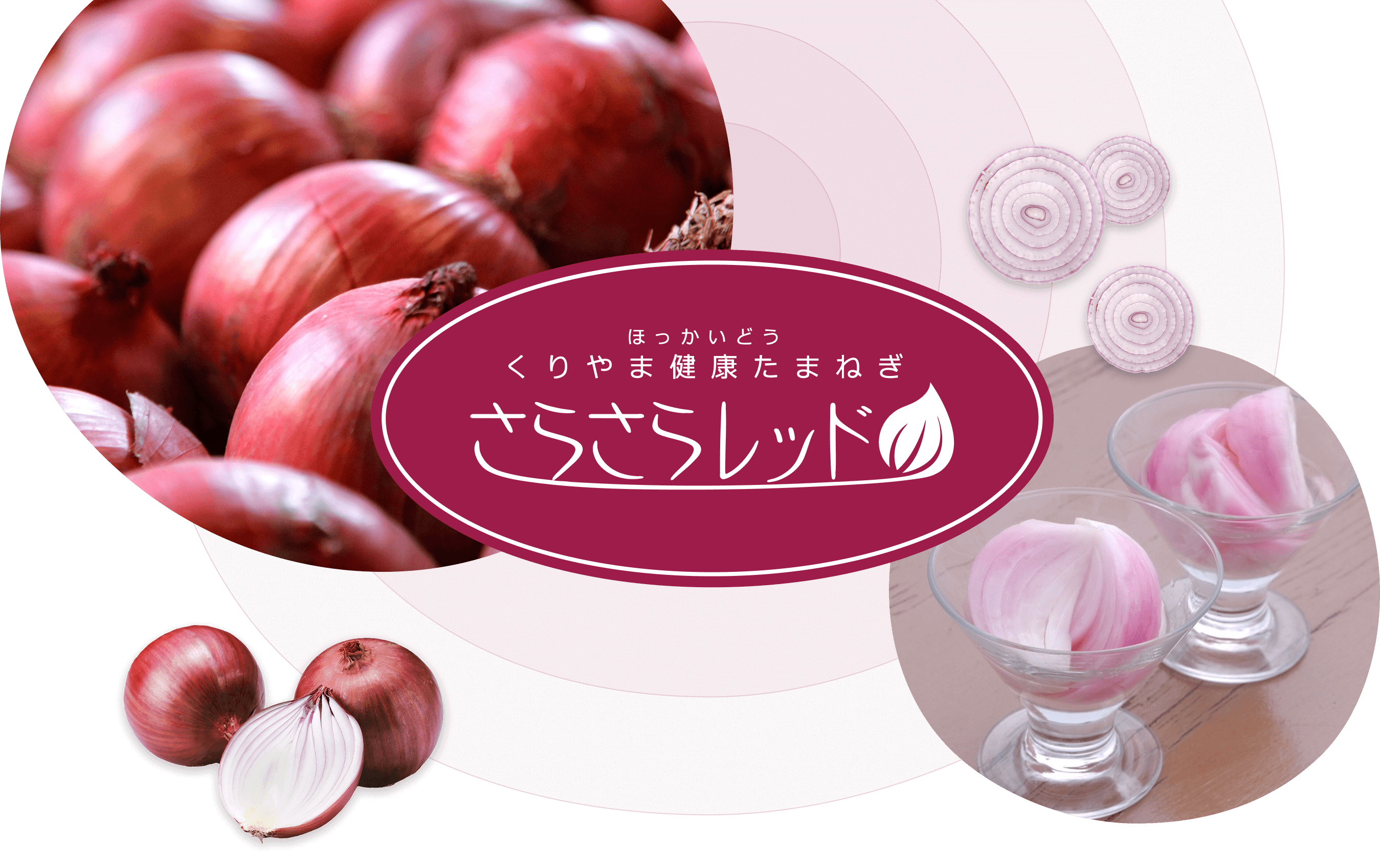 ほっかいどう　くりやま健康たまねぎ　さらさらレッド