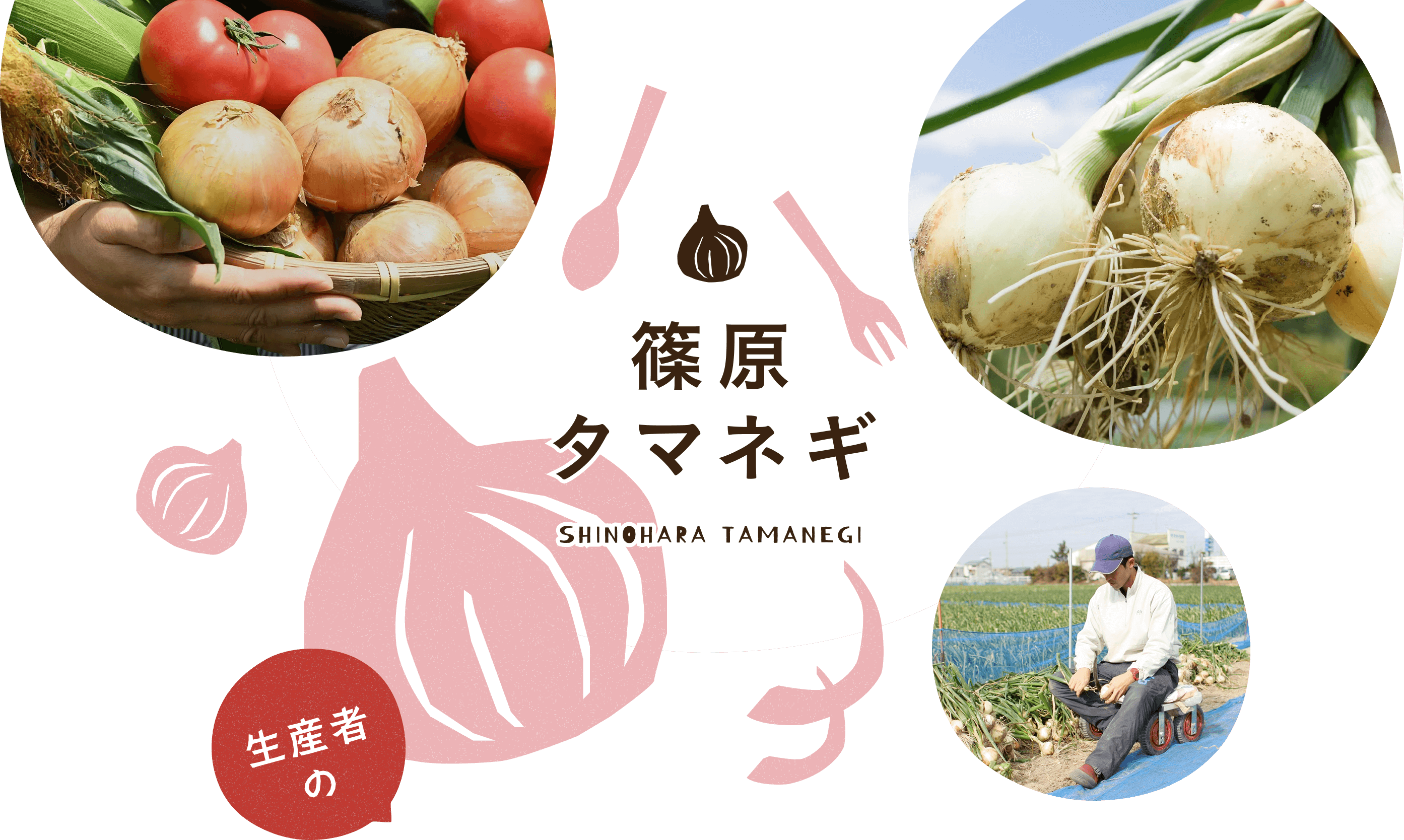 篠原タマネギ　SHINOHARA TAMANEGI