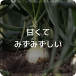 甘くてみずみずしい