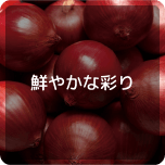 鮮やかな彩り