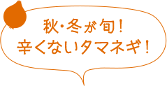 秋・冬が旬！辛くないタマネギ！