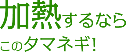 加熱するならこのタマネギ！