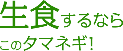 生食するならこのタマネギ！