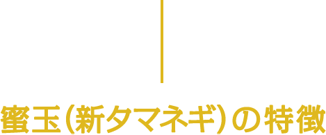 蜜玉（新タマネギ）の特徴