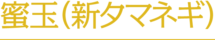 蜜玉（新タマネギ）